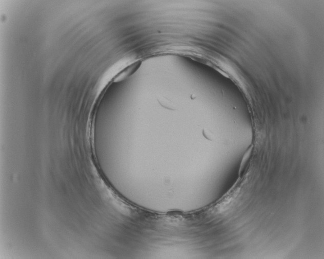 X0000088211050200706121800