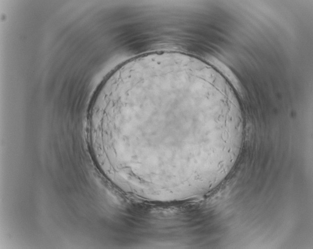 X0000088211051200706121800