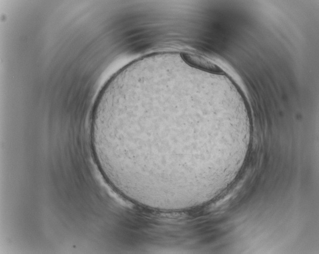 X0000088211053200706121800