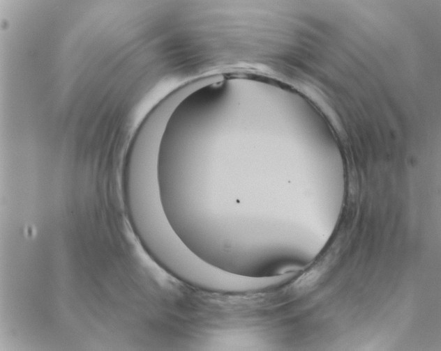 X0000088211054200706121800