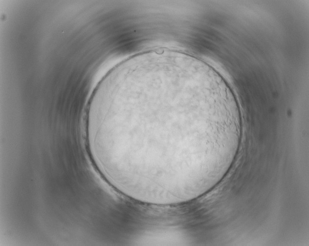 X0000088211056200706121800