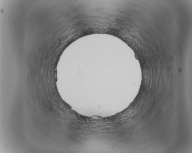 X0000088211057200706121800