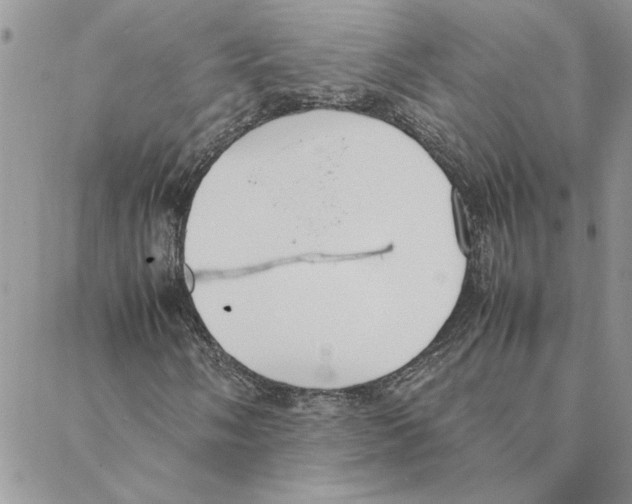 X0000088211058200706121800