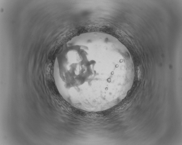 X0000088211059200706121800