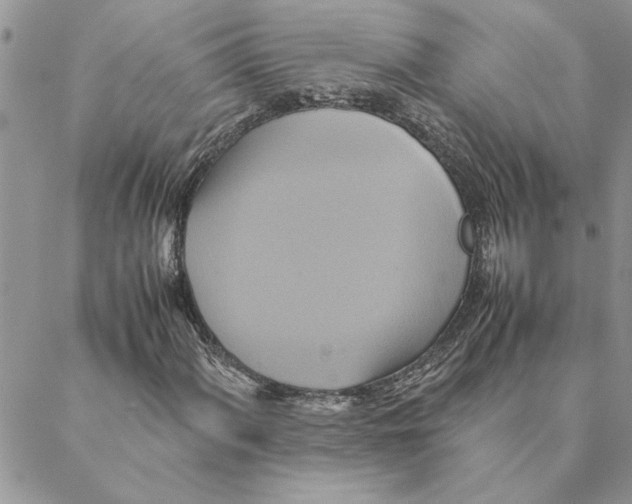 X0000088211060200706121800