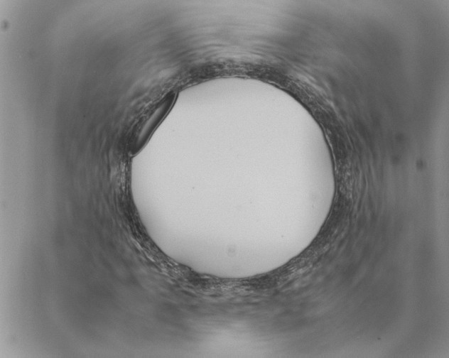 X0000088211061200706121800