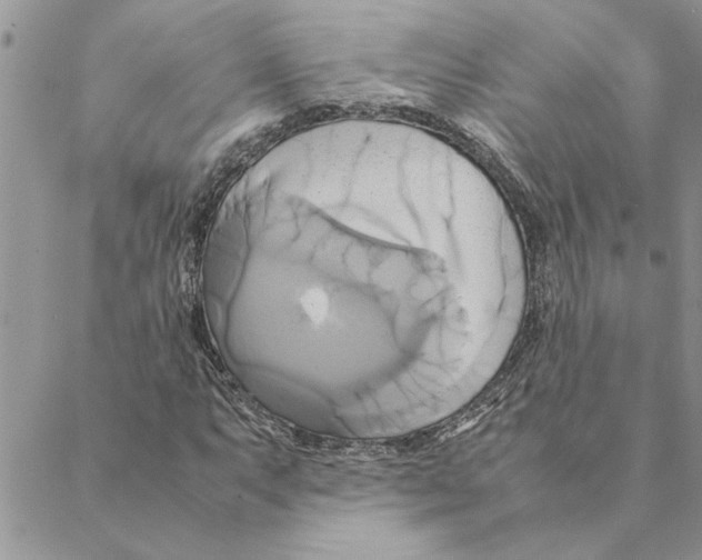 X0000088211063200706121800