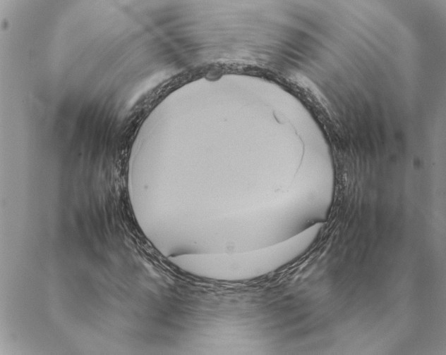 X0000088211064200706121800