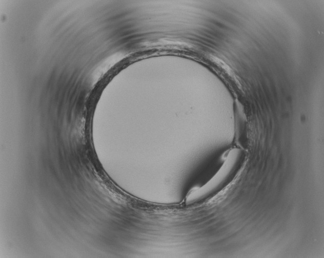 X0000088211066200706121800