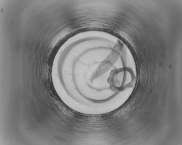 X0000088211067200706121800