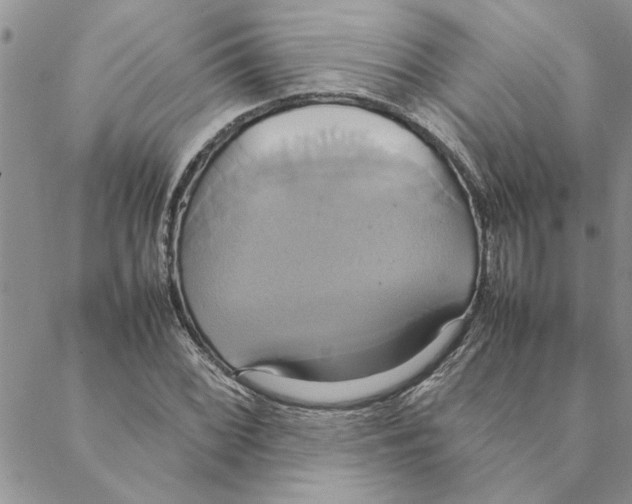 X0000088211068200706121800