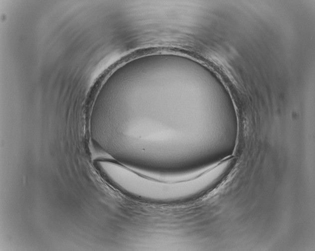 X0000088211069200706121800