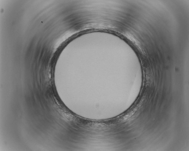 X0000088211070200706121800