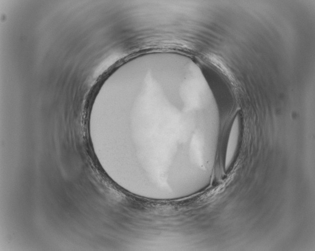 X0000088211071200706121759