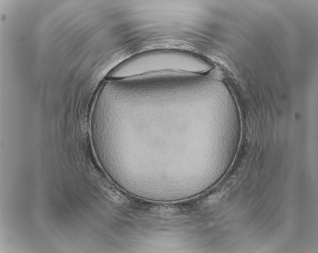 X0000088211073200706121759