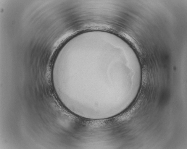 X0000088211074200706121759