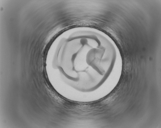 X0000088211075200706121759