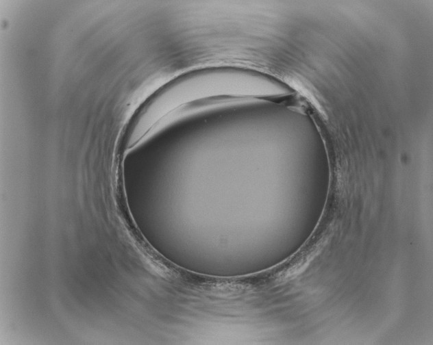 X0000088211077200706121759