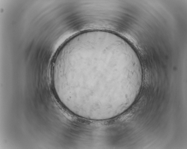 X0000088211078200706121759