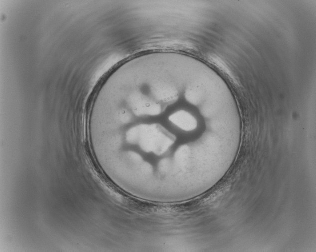 X0000088211079200706121759