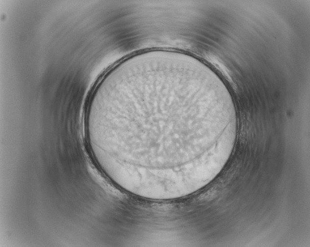 X0000088211080200706121759