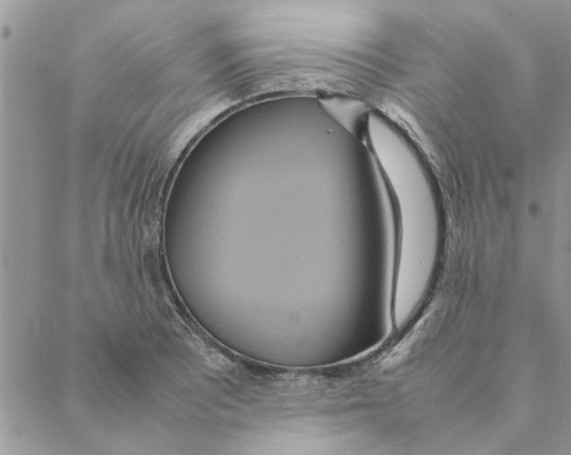 X0000088211081200706121759