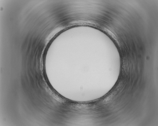 X0000088211082200706121759