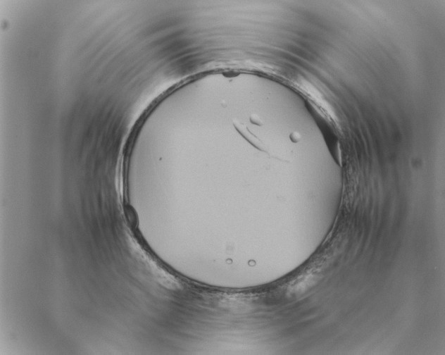 X0000088211084200706121759