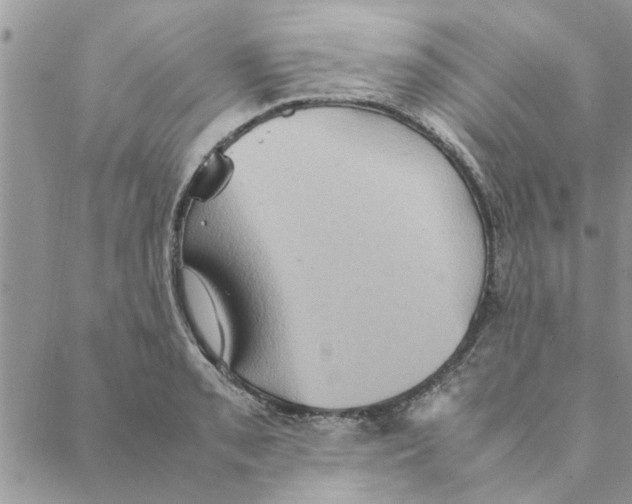 X0000088211085200706121759