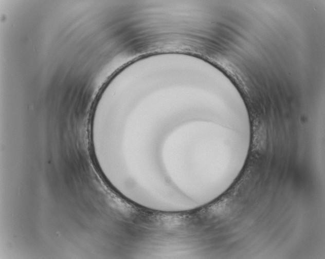 X0000088211086200706121759