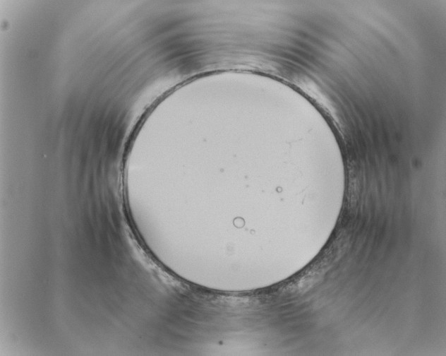 X0000088211088200706121759