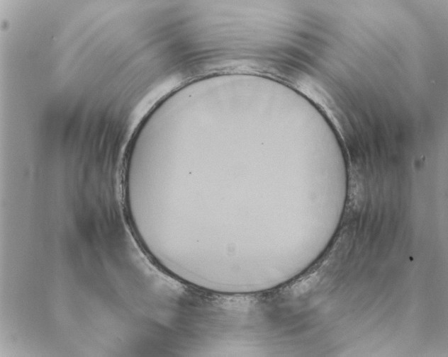 X0000088211090200706121759