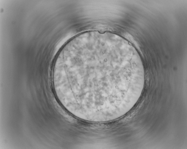 X0000088211091200706121759