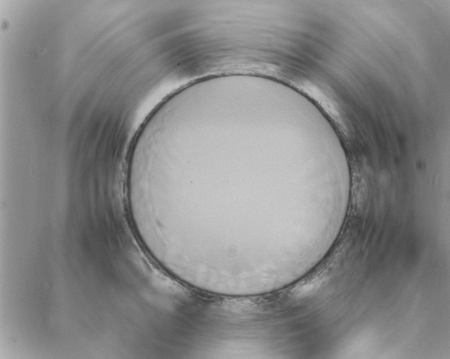 X0000088211094200706121759