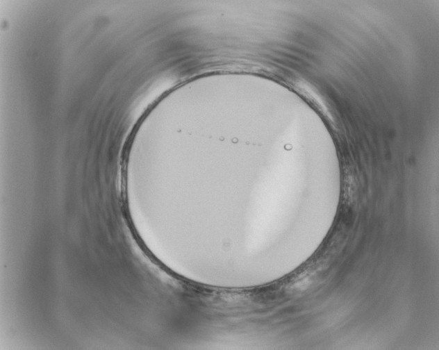 X0000088211095200706121759