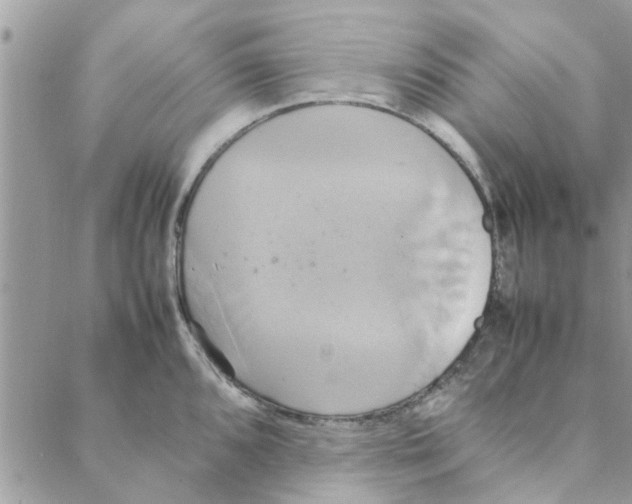 X0000088211096200706121759