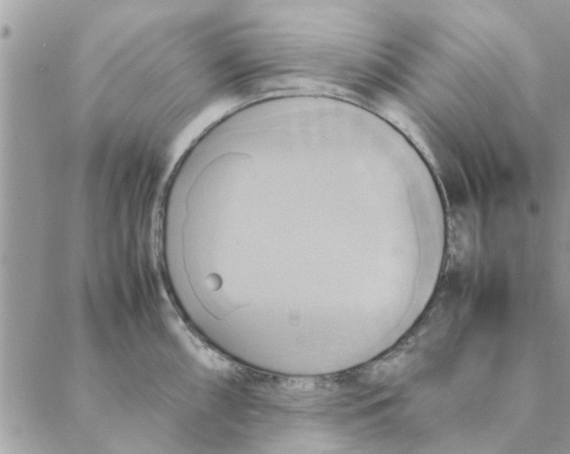 X0000088211098200706121759