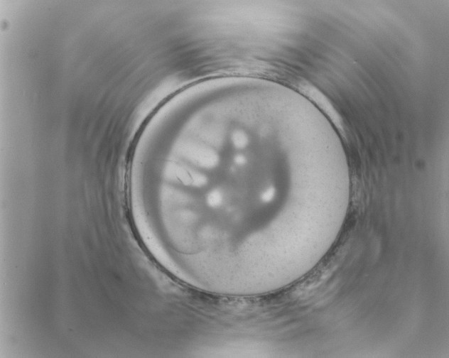 X0000088211099200706121759