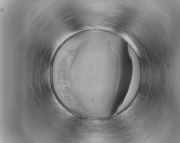 X0000088211100200706121759