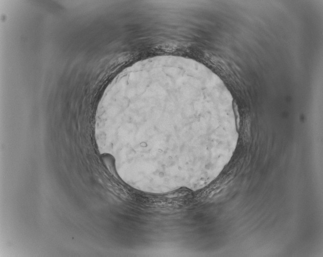 X0000088211105200706121758