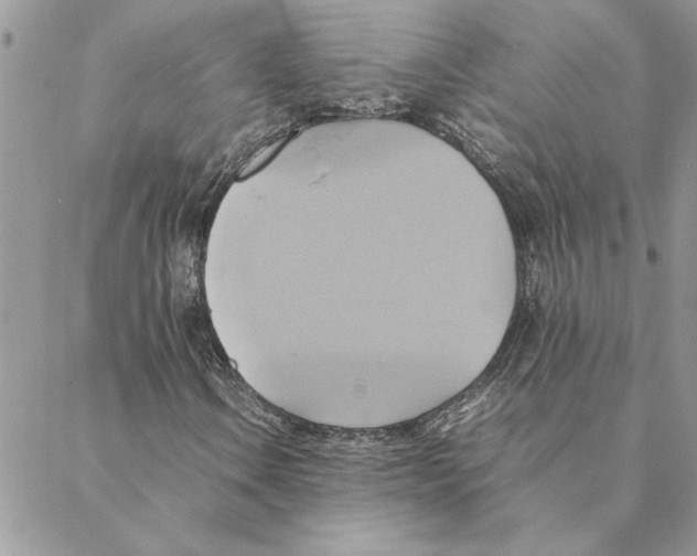 X0000088211106200706121758