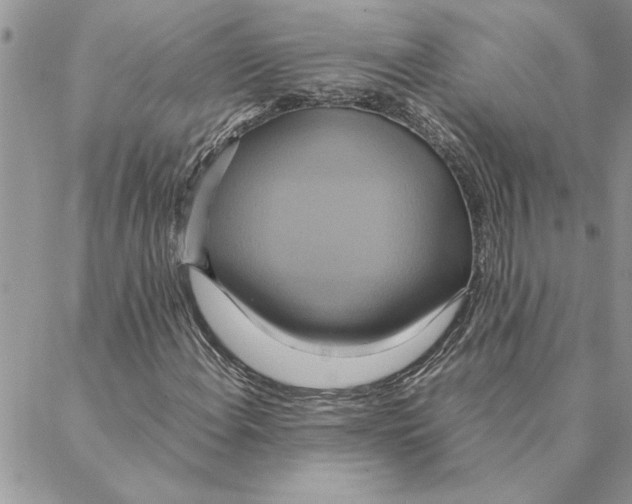 X0000088211108200706121758