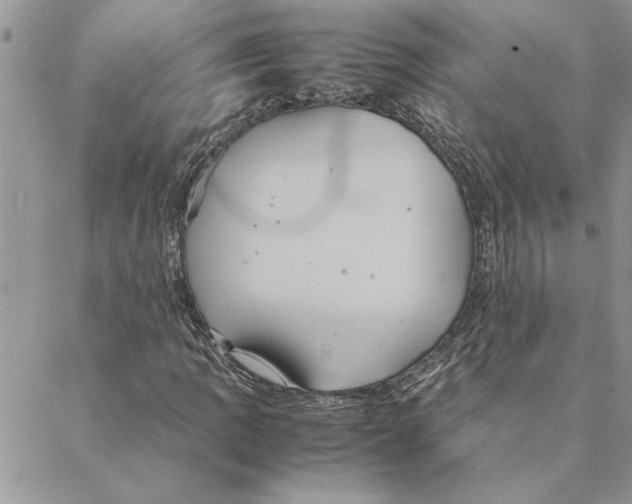 X0000088211109200706121758