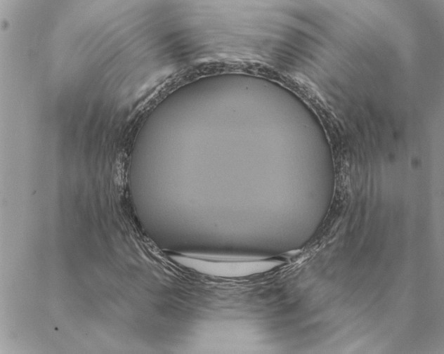 X0000088211110200706121758