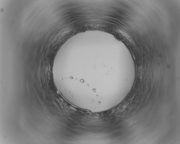 X0000088211111200706121758