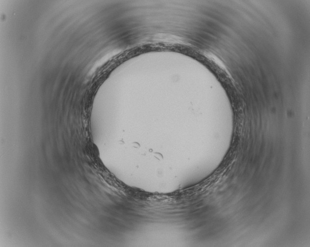 X0000088211112200706121758