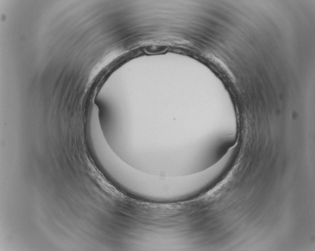 X0000088211114200706121758