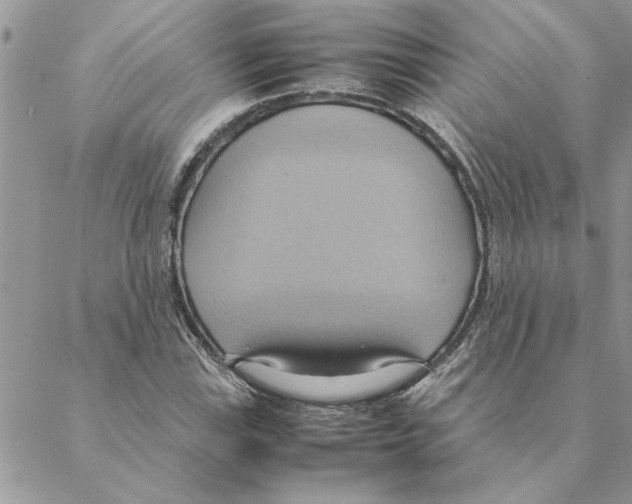 X0000088211115200706121758