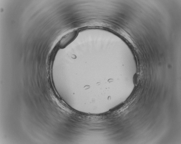 X0000088211116200706121758