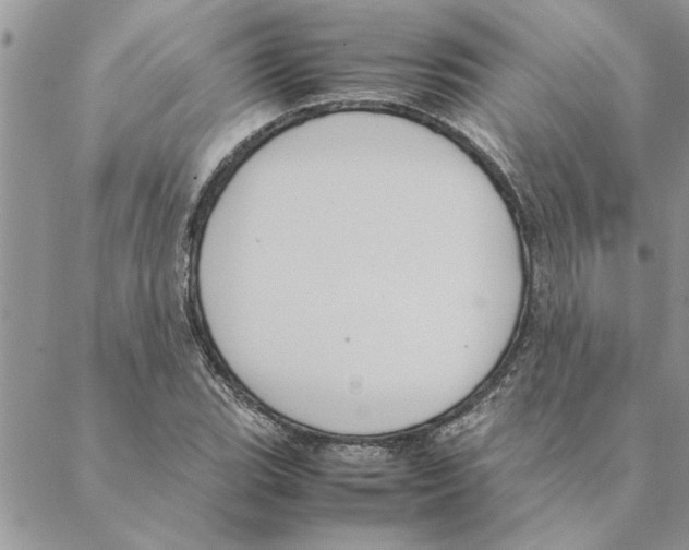 X0000088211119200706121758